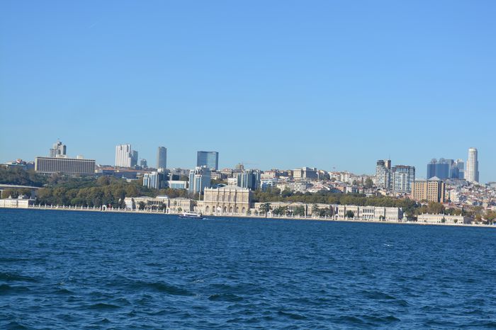 image-.jpg