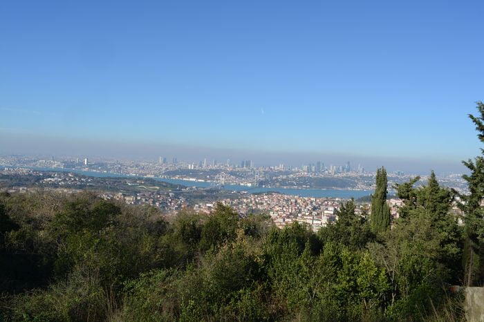image-.jpg