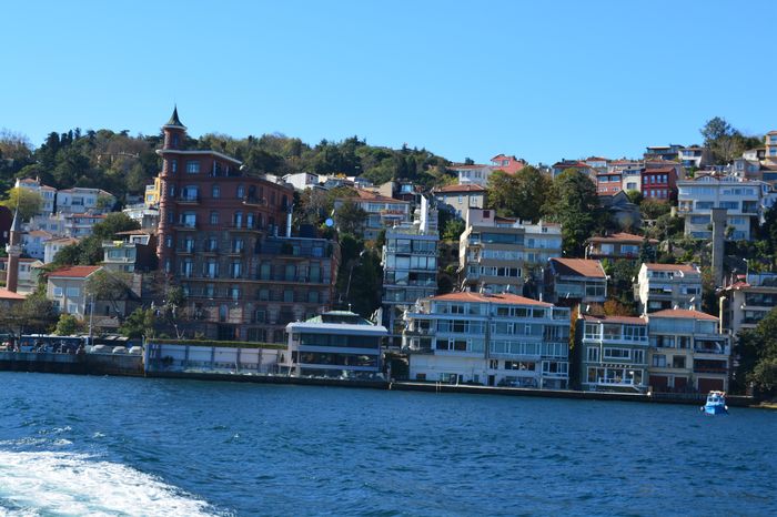 image-.jpg