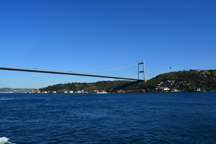 image-.jpg