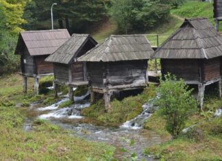 Who Should Protect Rumelia?