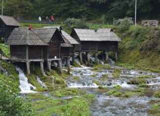 The Turkish Government and the Sultan’s Role