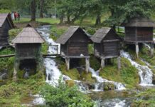 “I Stand at the Door and Knock” (Revelation 3:14–22)